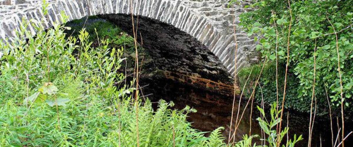 A stone bridge arching over a dark, narrow waterway surrounded by lush greenery.