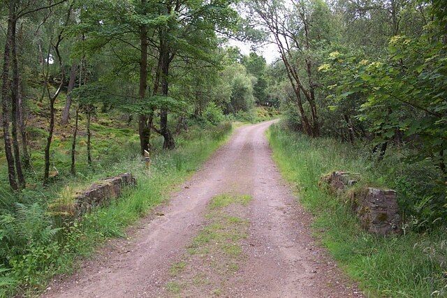 Forest track at Stronvochlan