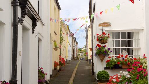 Devon caratteristiche di piccola città o villaggio