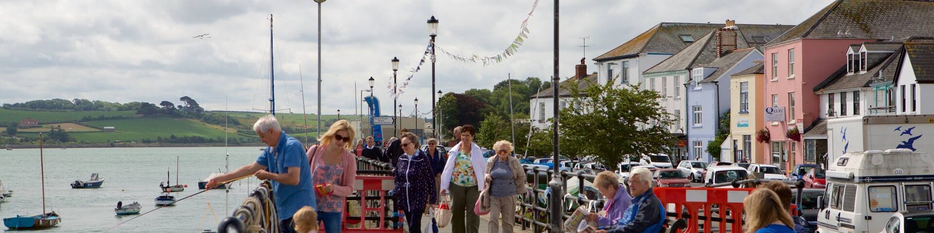 Devon showing a small town or village and boating as well as a large group of people
