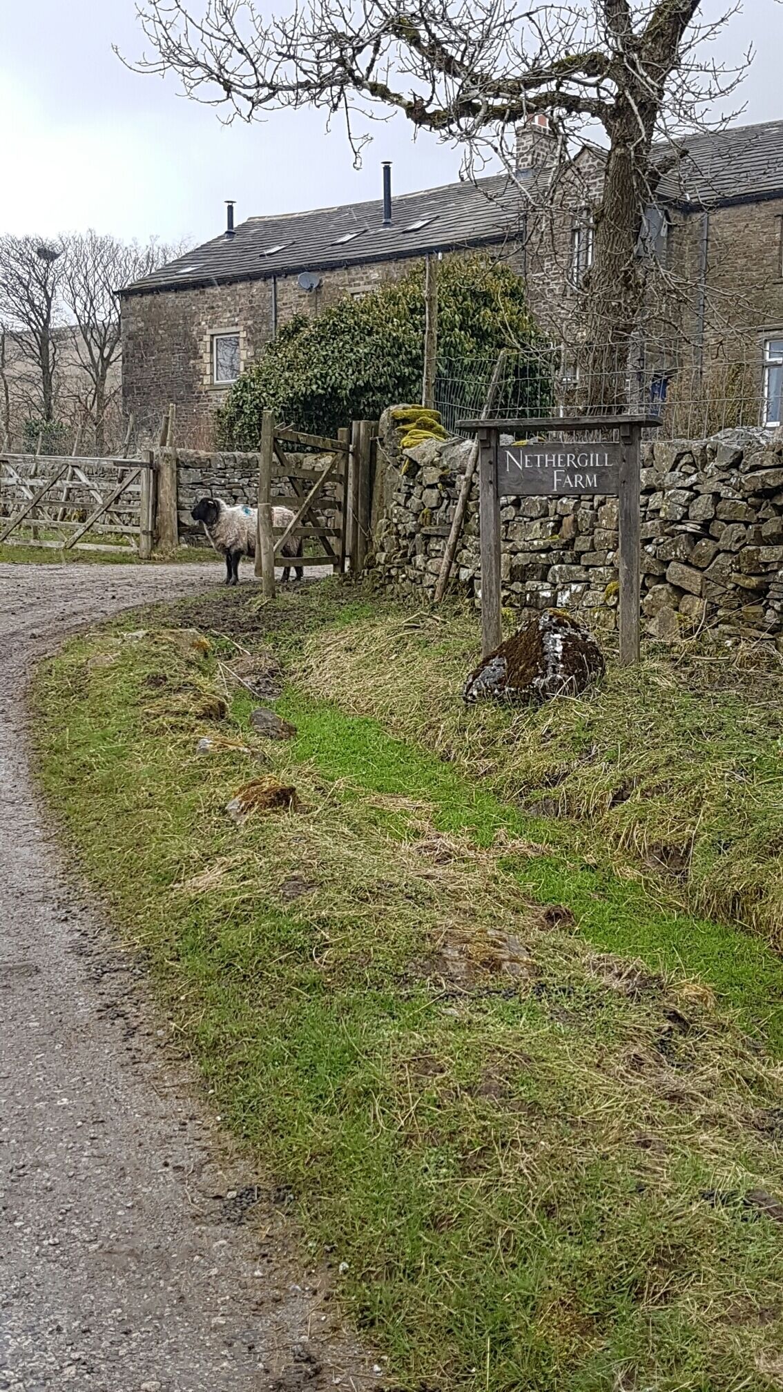 Setting off on our 14 mile walk yesterday ❤