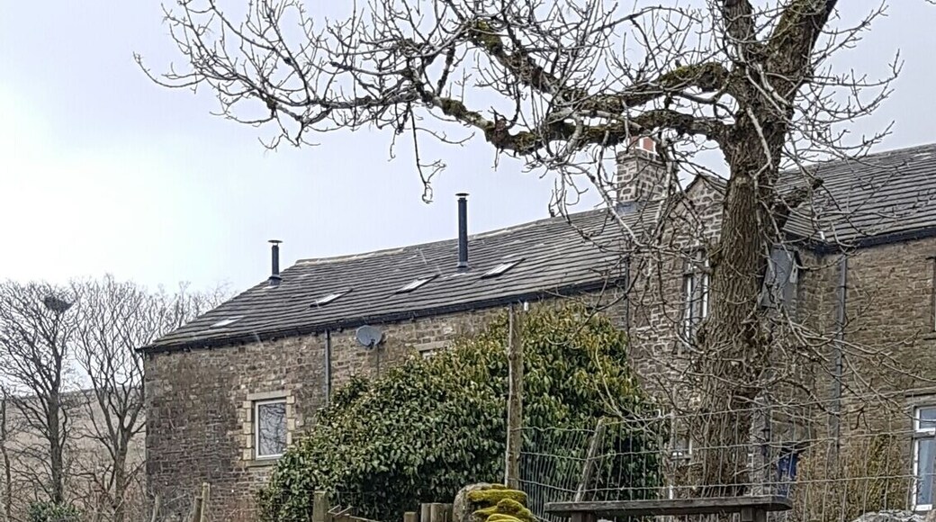 Setting off on our 14 mile walk yesterday ❤