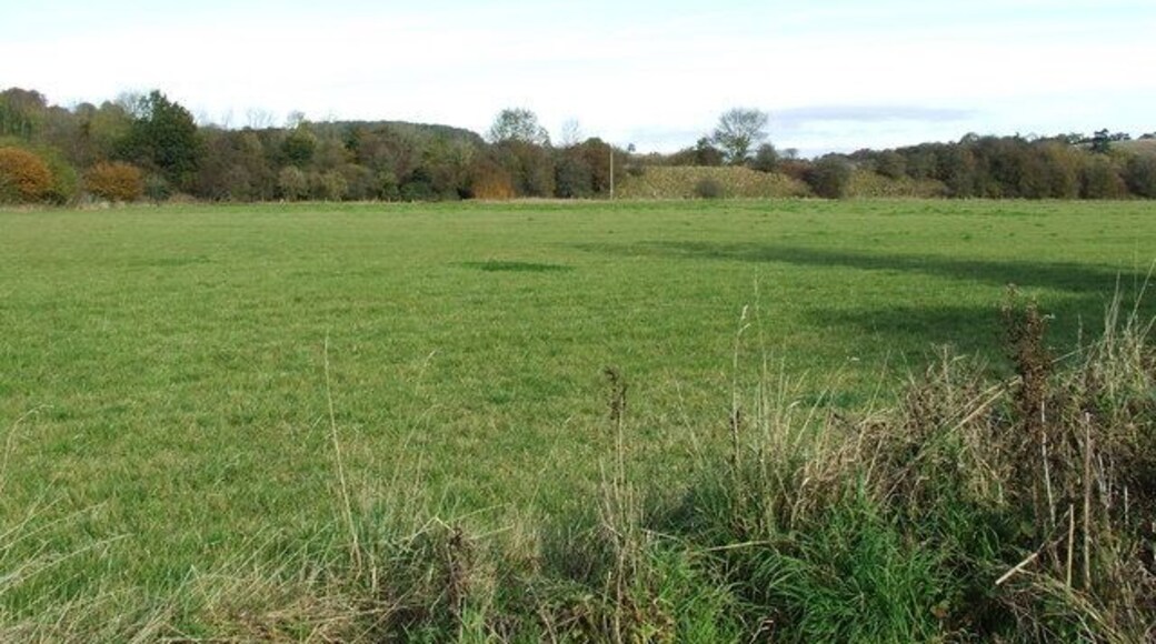 Site of a roman settlement, with old railway embankment in the background.