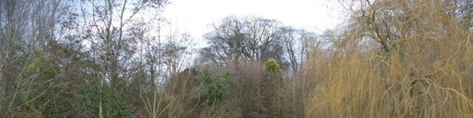 Lake at Shipton Solers This beautiful lake is part of a garden at the bottom of the valley in Shipton Solers. Seen from the footpath.