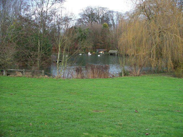 A pond surrounded by trees and a grassy area.