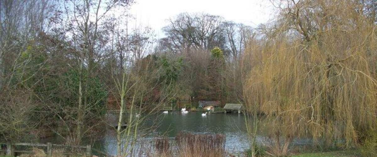 A pond surrounded by trees and a grassy area.