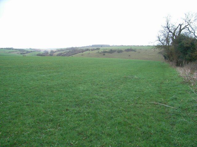 Over The Warren Looking across a field in the direction of The Warren, which is down in the valley.