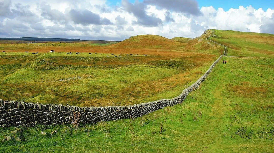Hadrian's Wall runs straight through the heart of Northumberland National Park in northern England. The Hadrian's Wall Path, a UNESCO World Heritage Site, follows the wall for its entire length, from the North Sea to the Irish Sea.
#NationalPark