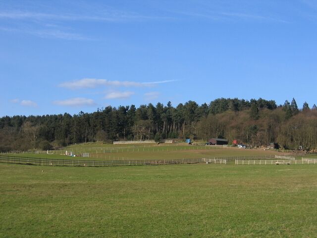 Riding stables at Bordesley Hall Seen from near the end of the Alvechurch Bypass.