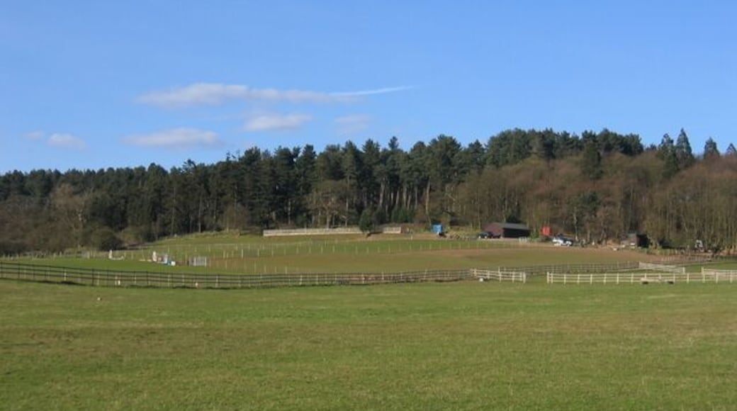 Riding stables at Bordesley Hall Seen from near the end of the Alvechurch Bypass.