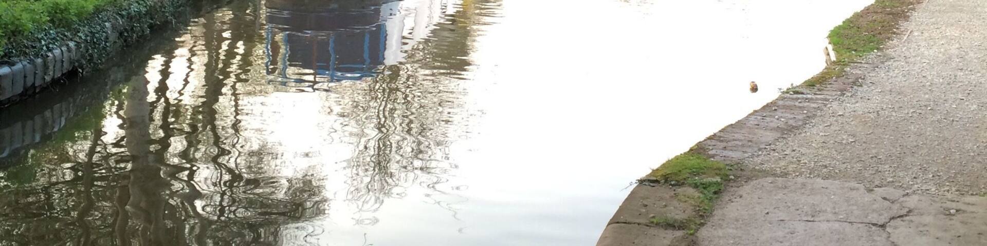 The canal near Alvechurch is a great place for an early evening walk.