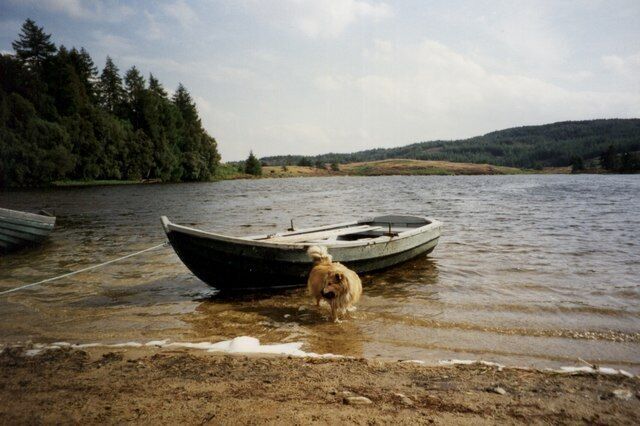 A dog near a boat on a calm lake with trees and hills in the background.