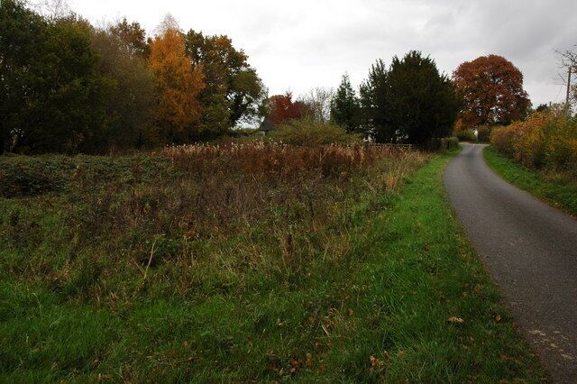 Rough ground at Meer Common