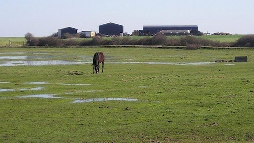 Binney Farm, Allhallows