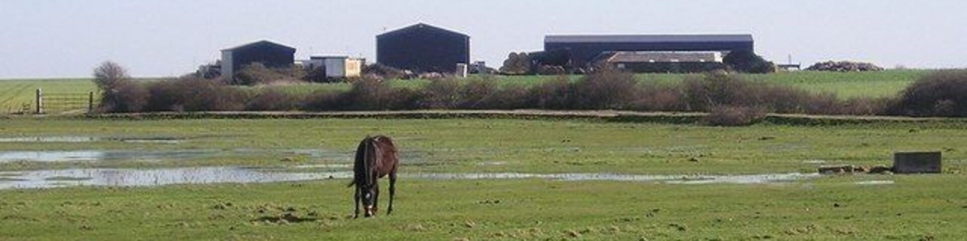 Binney Farm, Allhallows