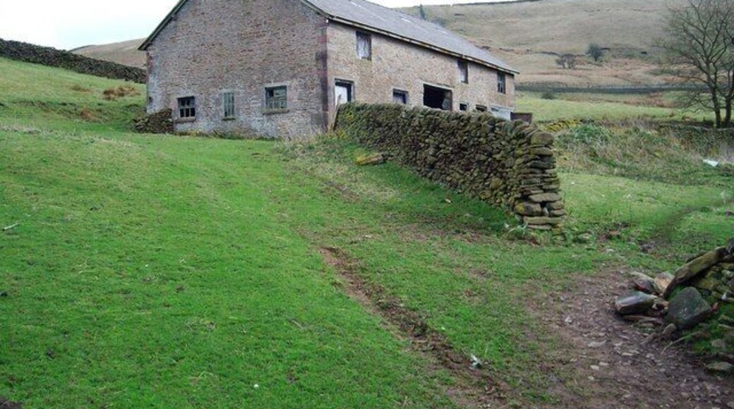 Barn Old barn now used as livestock shelter.