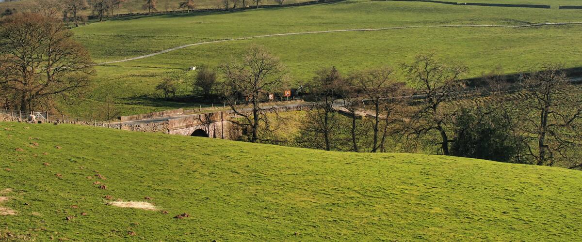 A green valley with a stone bridge, rolling hills, and scattered trees.