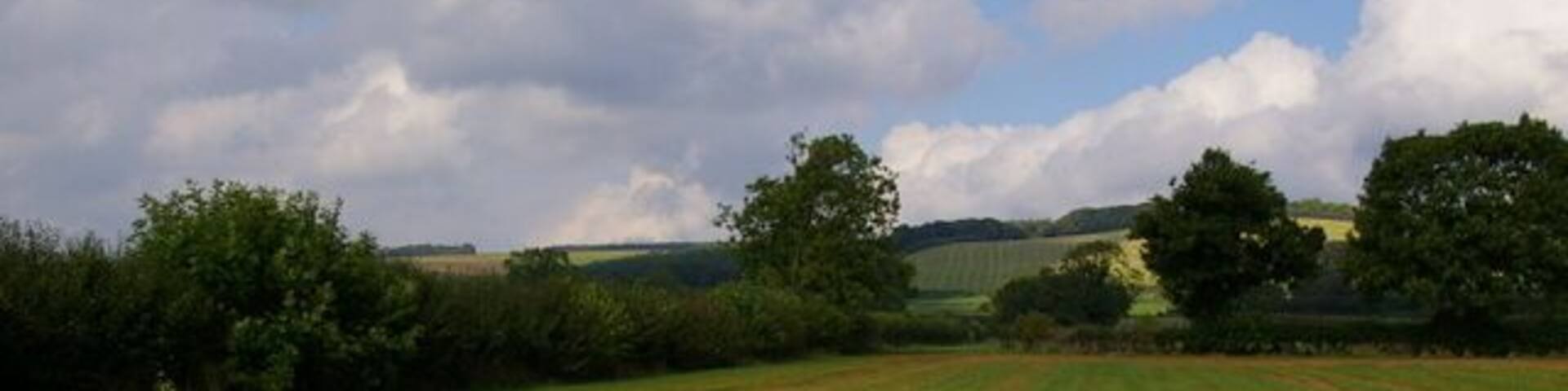 Field Near Allerston Looking North.