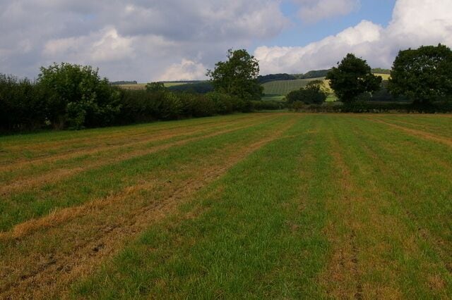 A rural landscape with a field, trees, and rolling hills in the background.