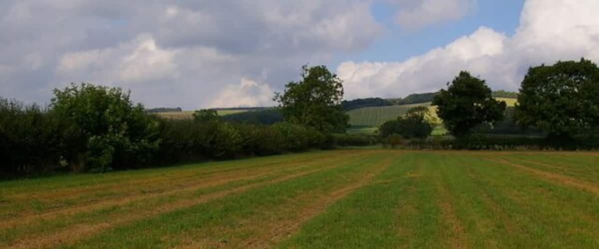 A rural landscape with a field, trees, and rolling hills in the background.