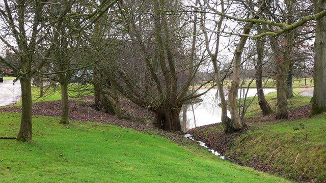 Pond at Turtles Farm