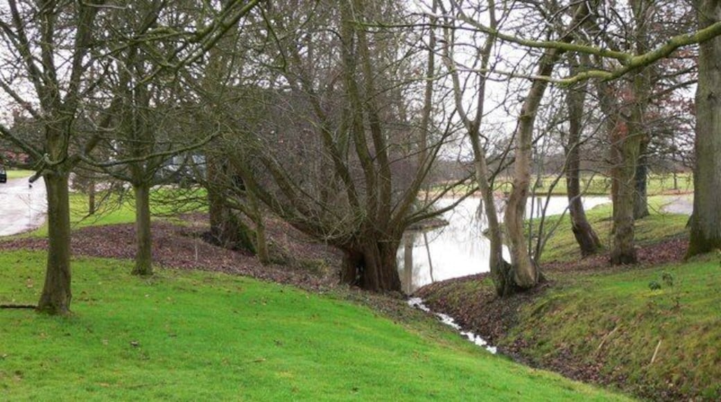Pond at Turtles Farm