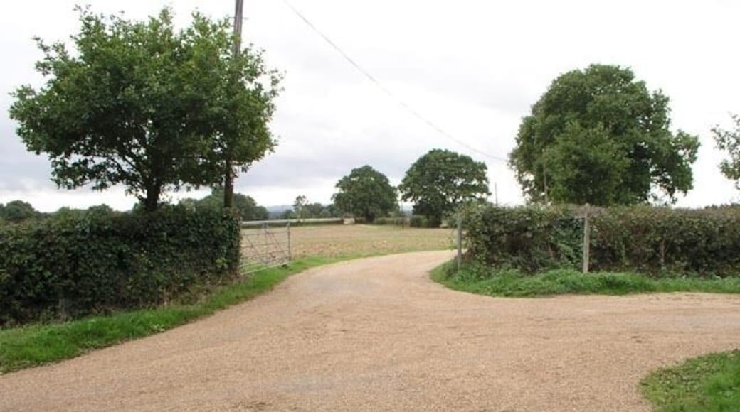 Junction of the Sussex Border Path and Footpath 796 The Sussex Border Path runs along Pigbush Lane from 243629 to the right and left to 250116
