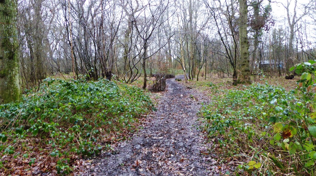 Poulton Wood is a Local Nature Reserve in Aldington in Kent.