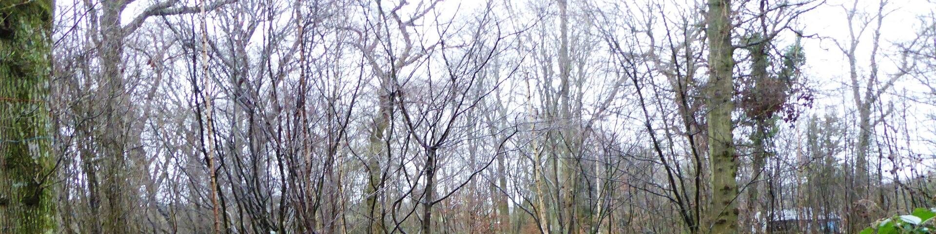 Poulton Wood is a Local Nature Reserve in Aldington in Kent.