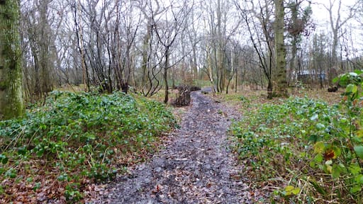 Poulton Wood is a Local Nature Reserve in Aldington in Kent.