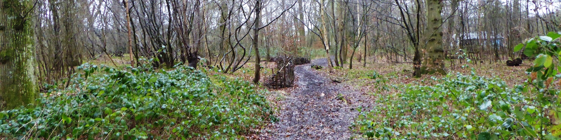 Poulton Wood is a Local Nature Reserve in Aldington in Kent.