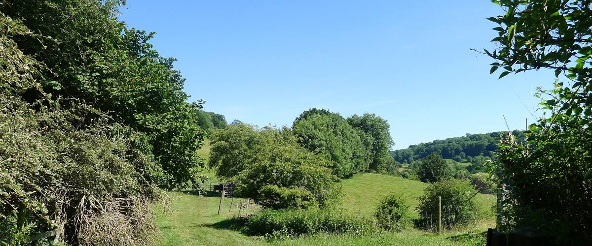 A rural landscape with a wooden gate, lush greenery, and rolling hills in the background.
