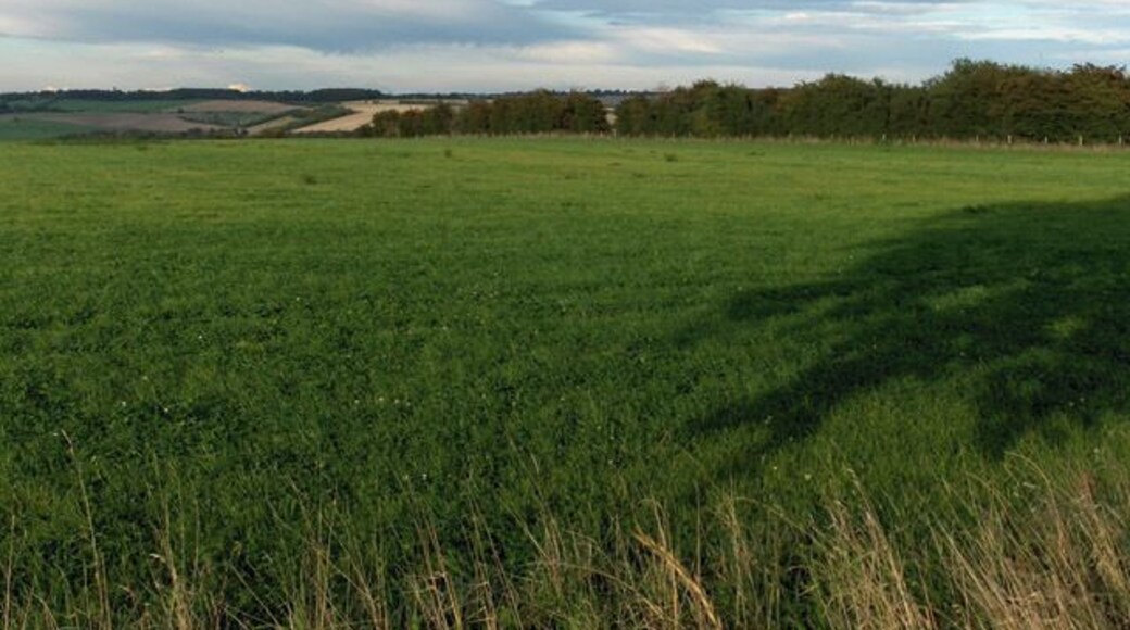 Farmland above Aldbourne. The hedge to the right marks the line of the Aldbourne to Hilldrop byway.