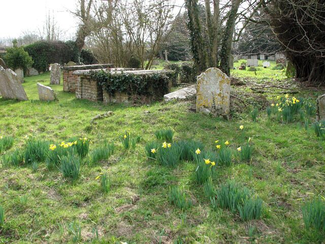All Saints church in Alburgh - churchyard. Daffodils in the churchyard of All Saints church > 1770481.