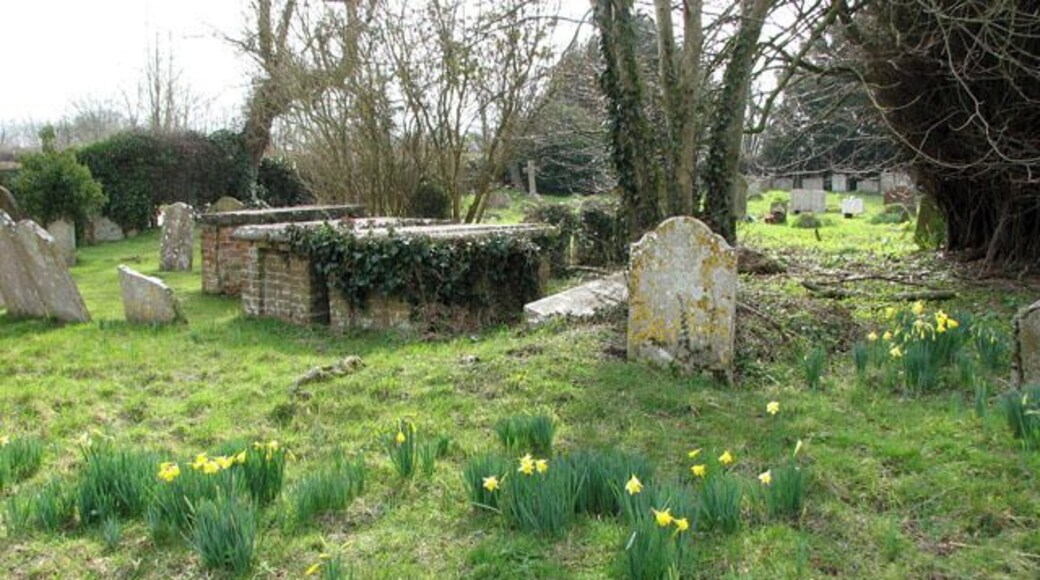 All Saints church in Alburgh - churchyard. Daffodils in the churchyard of All Saints church > 1770481.