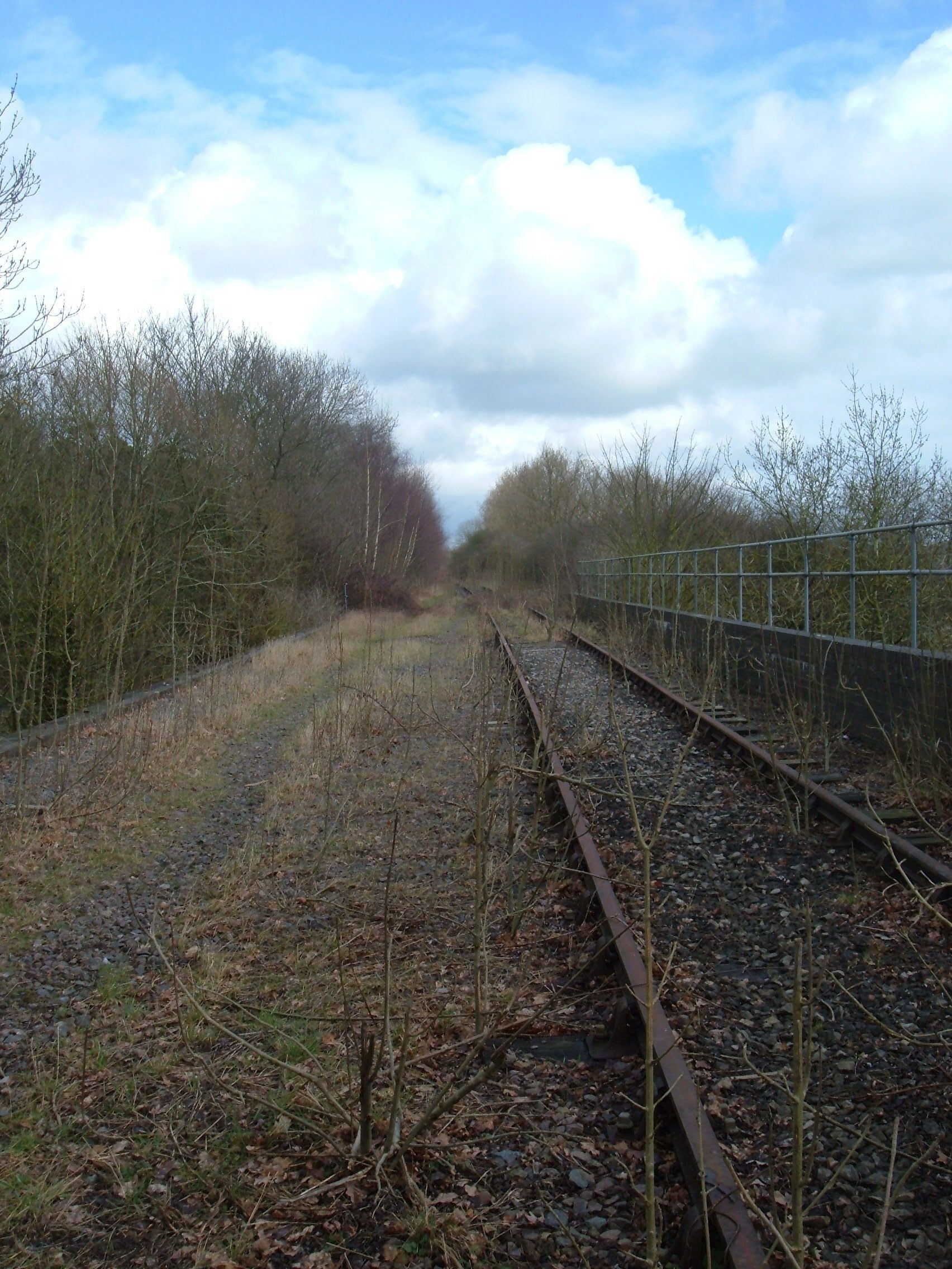 Disused Railway Line Looking towards Winslow from the bridge just outside the entrance to Furzen Farm.