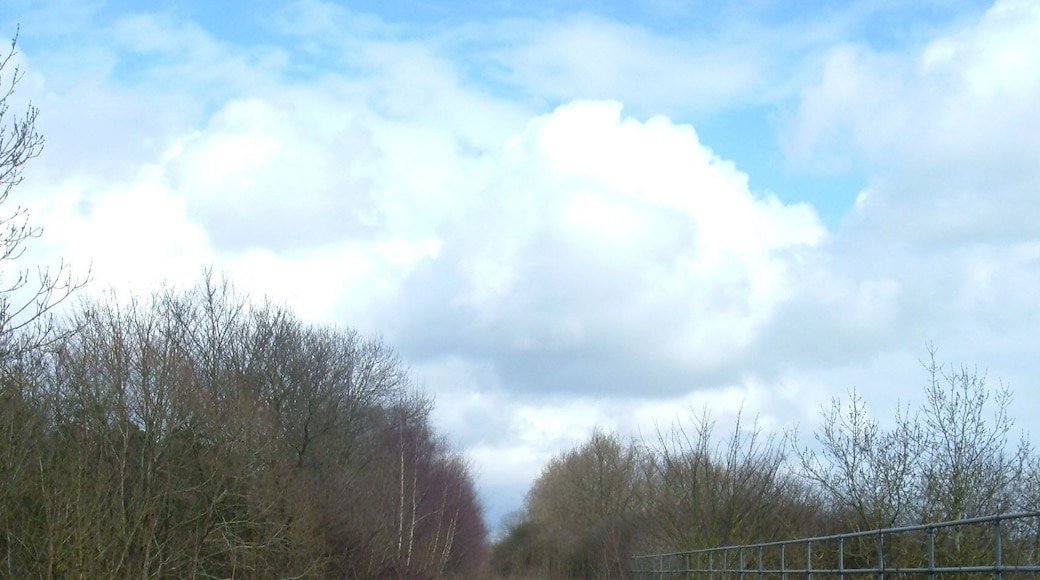 Disused Railway Line Looking towards Winslow from the bridge just outside the entrance to Furzen Farm.