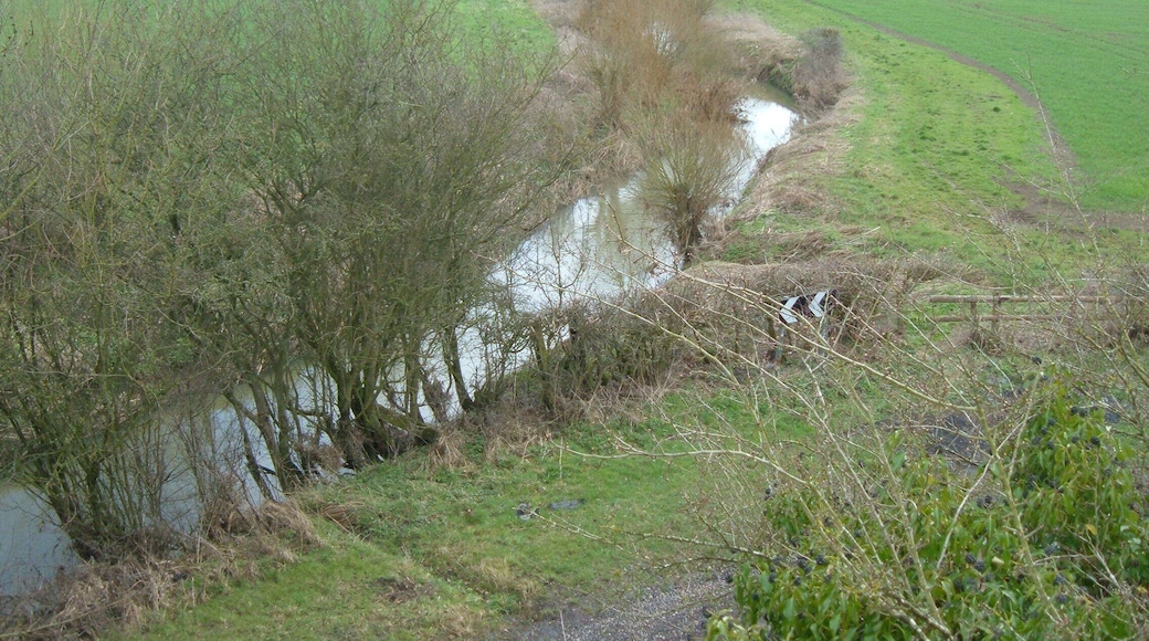 Claydon Brook Looking towards Granborough from the bridge just outside the entrance to Furzen Farm.