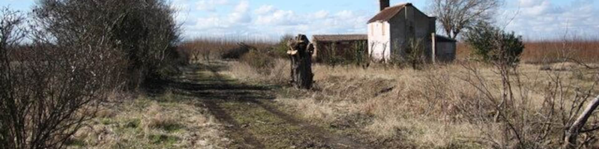 Wilcox Farm Derelict farm on Orby Road