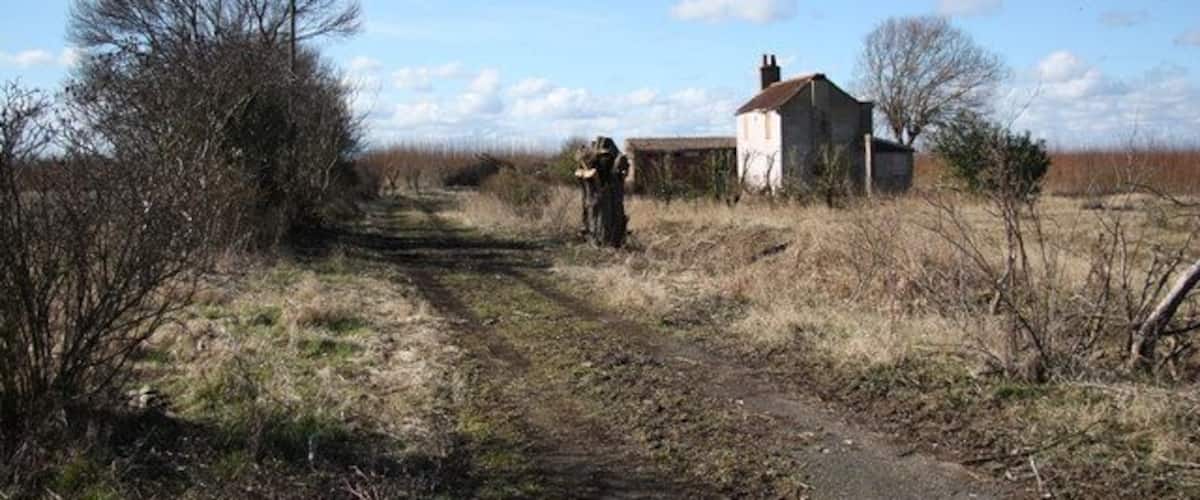 A rural path leading to a white house with a chimney, surrounded by dry grass and leafless trees.