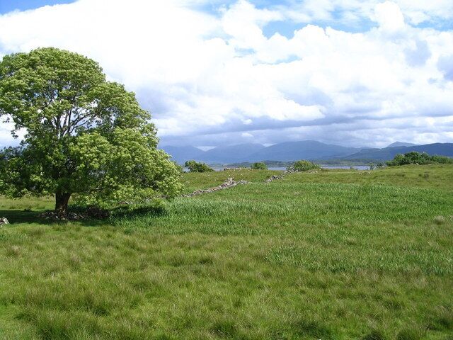 A grassy field with a large tree and distant mountains under a cloudy sky.