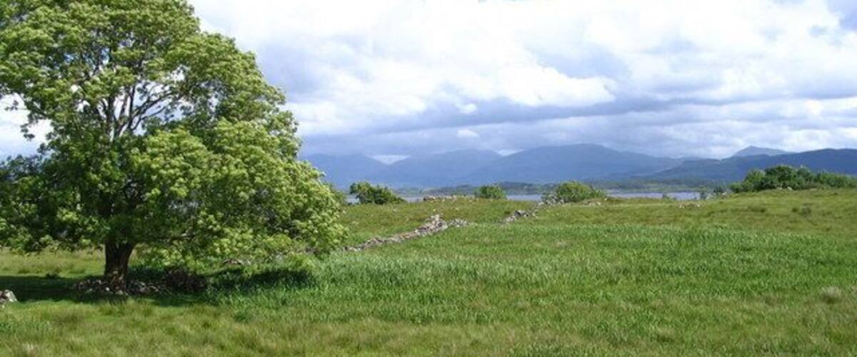 A grassy field with a large tree and distant mountains under a cloudy sky.