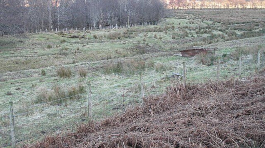 Pasture, Braeintra Along the Allt Cadh an Eas and Braeintra Burn, damp pastures.