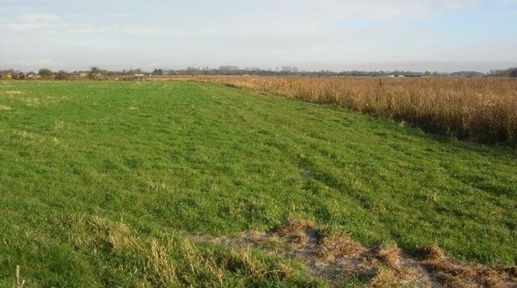Top of the airfield Looking across the top end of the airfield, a former world war II bomber base.