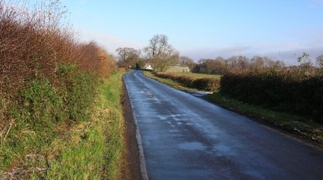 Acaster Lane Looking towards Bishopthorpe.