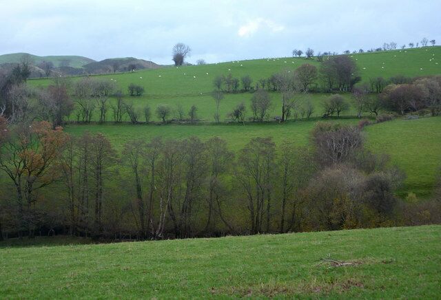Nant y Gwennill Green pastures either side of the stream, seen from the mountain lane between Machynlleth and Staylittle.