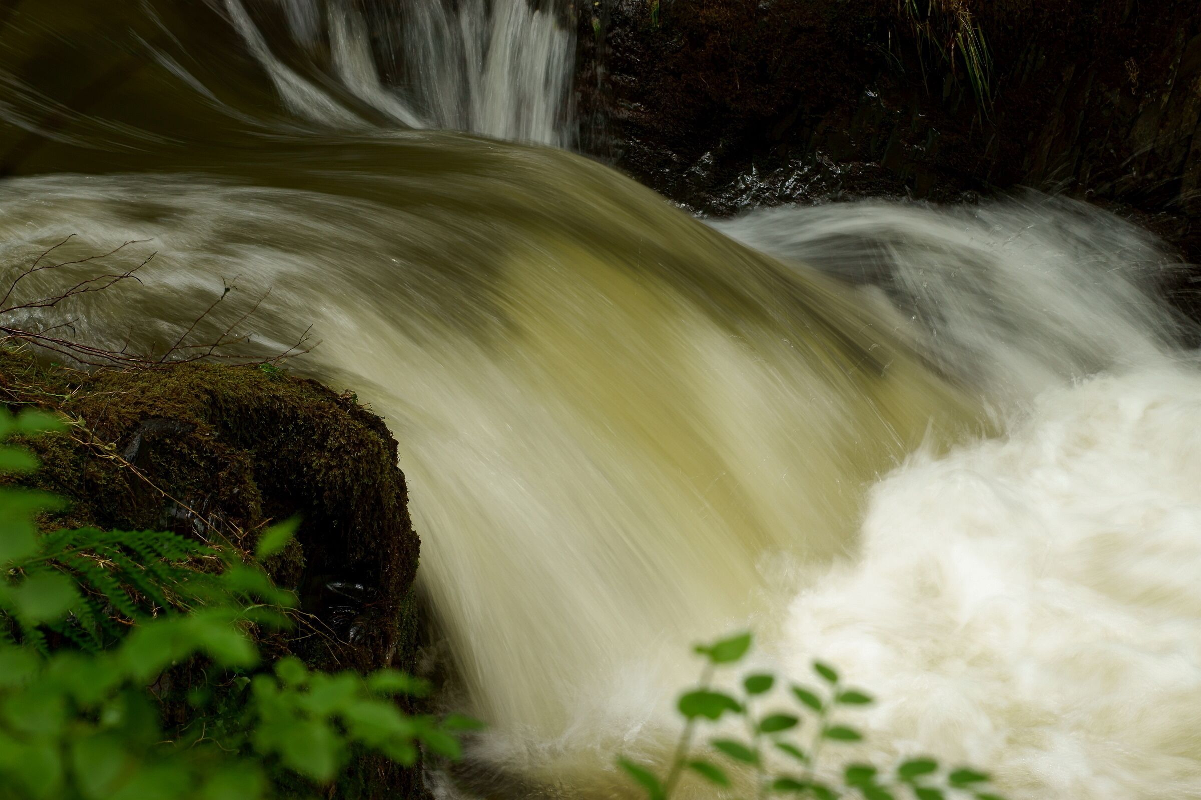 Seen after a period of wet weather. See the video: www.youtube.com/watch?v=i9l9jCvOLLc
