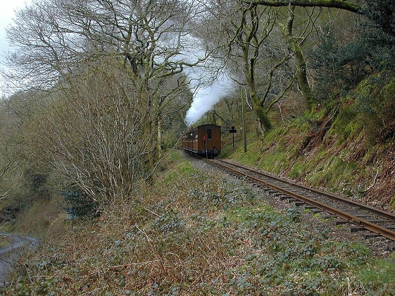 A train on a rural railway track surrounded by trees and vegetation.