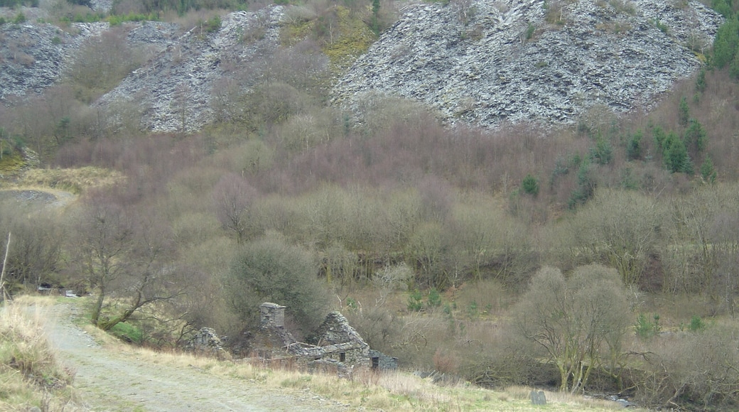The remains of Bryn Eglwys quarry on the Talyllyn Railway