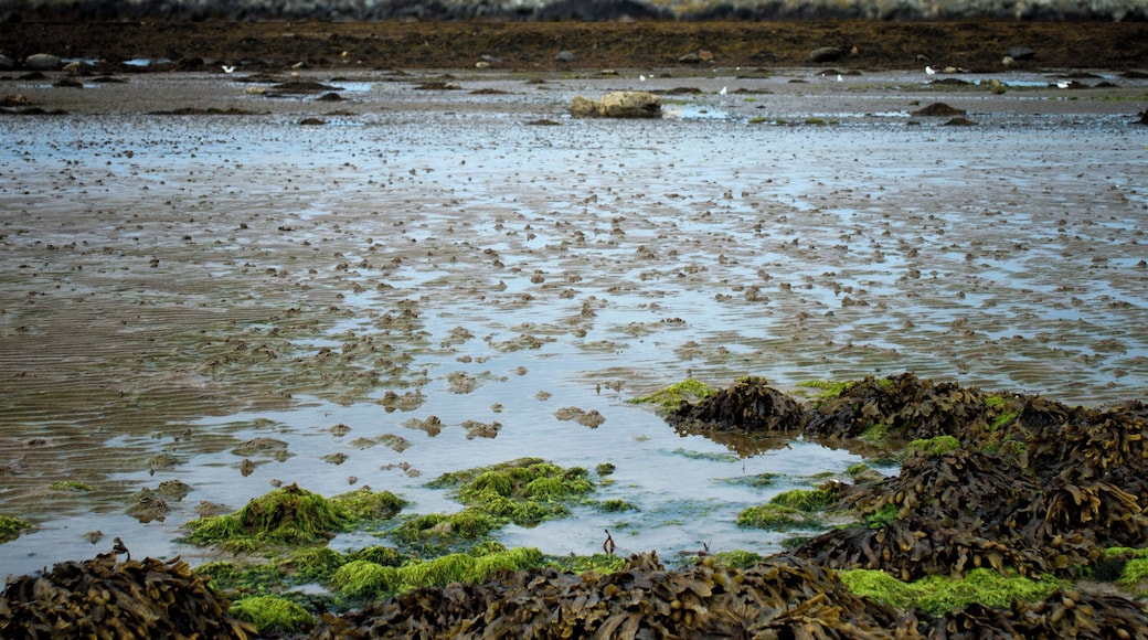 This is a photo of listed building number